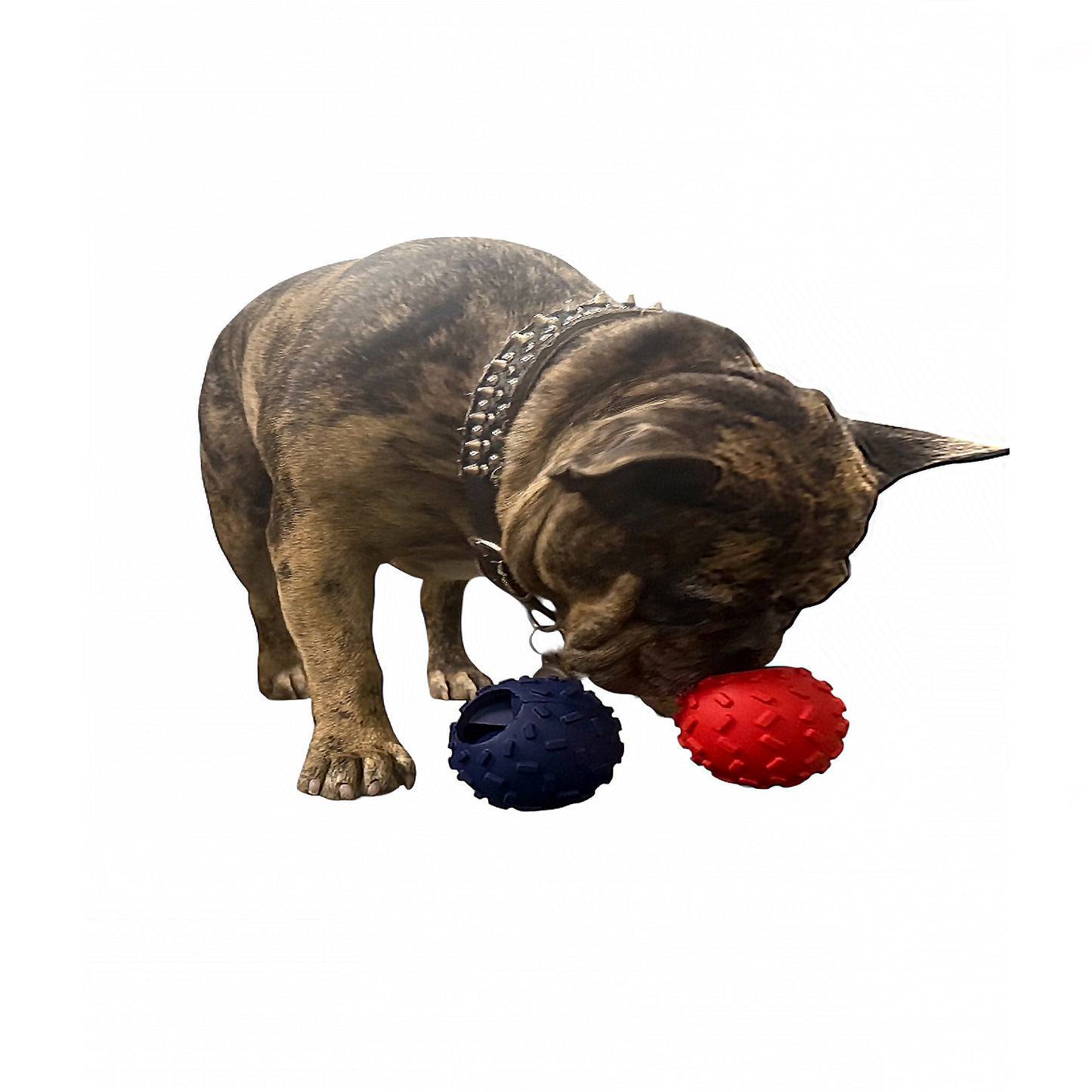 Challenging Treat-Dispensing Balls 4 Pack for Pigs Piglets Dogs Rabbits Cats and other Small Animals – Mental Stimulation and Playtime Fun