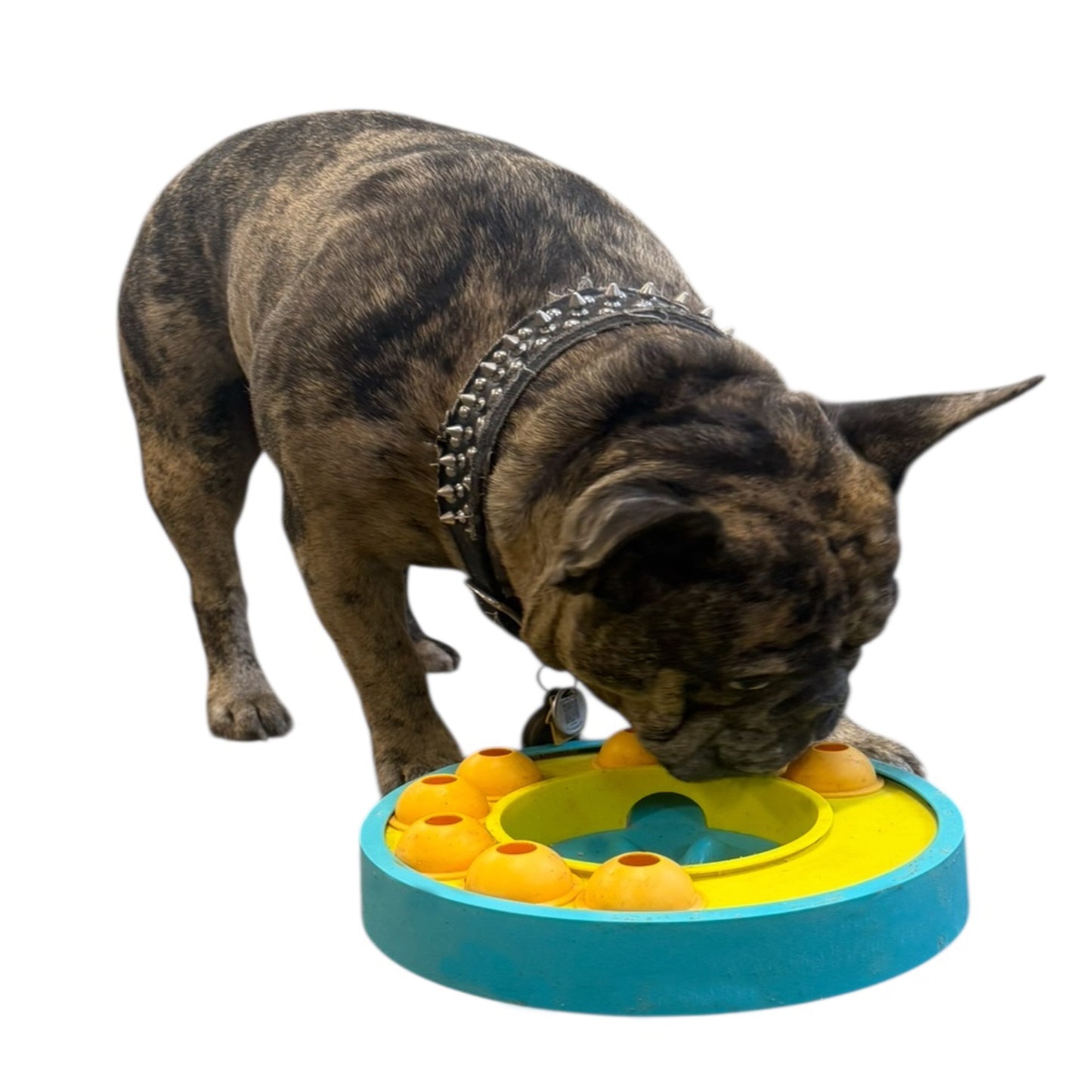 Piggy Poo and Crew Slow Feeder Puzzle Game