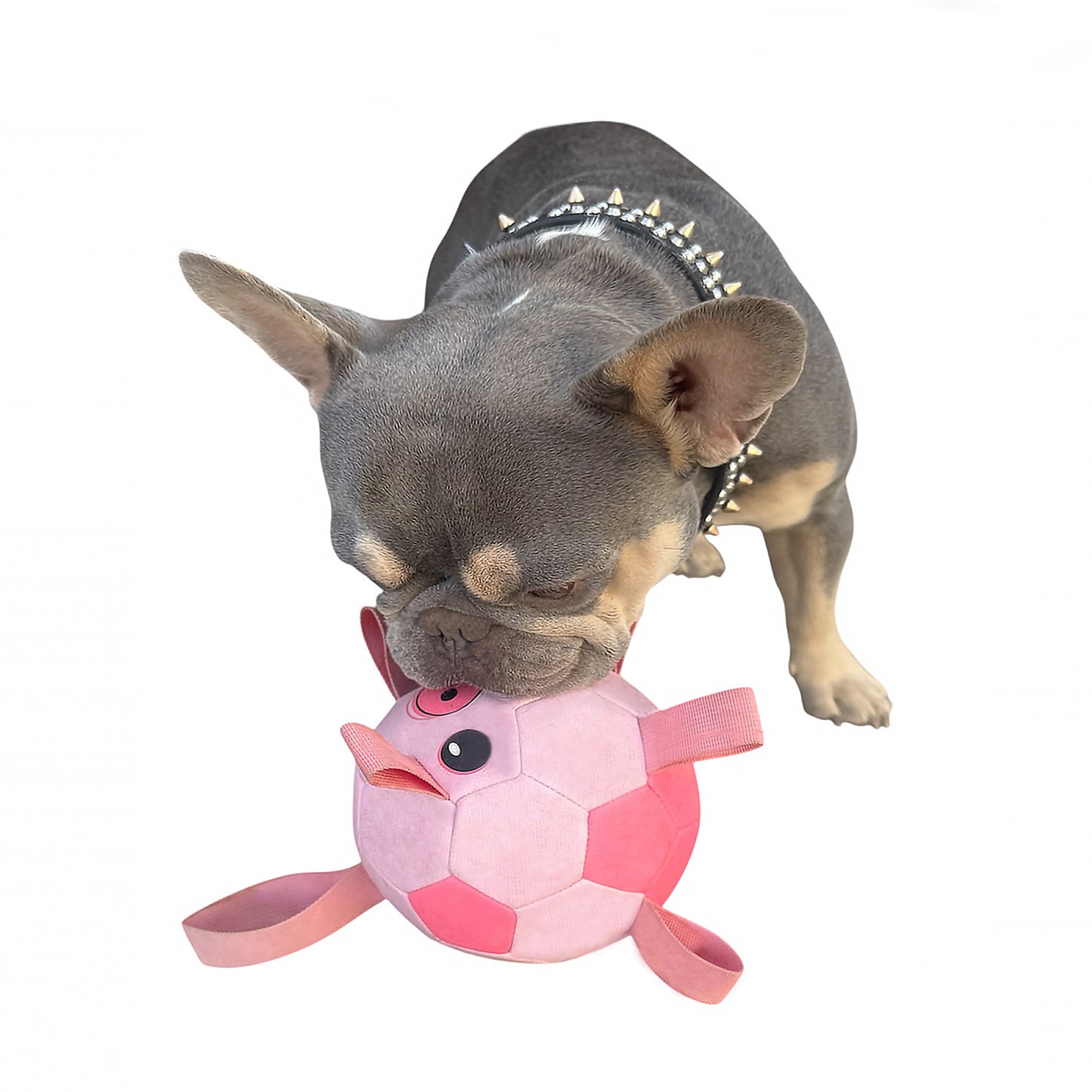 Piggy Poo and Crew Durable Interactive Fetch and Play Pig Soccer Ball