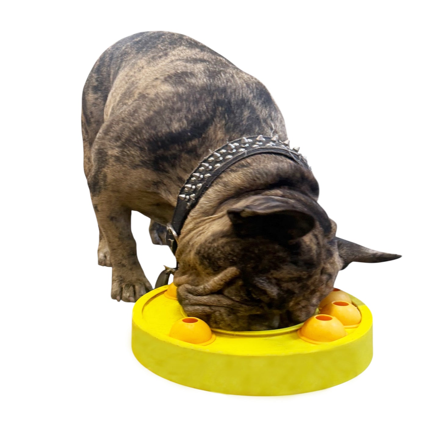 Piggy Poo and Crew Slow Feeder Puzzle Game