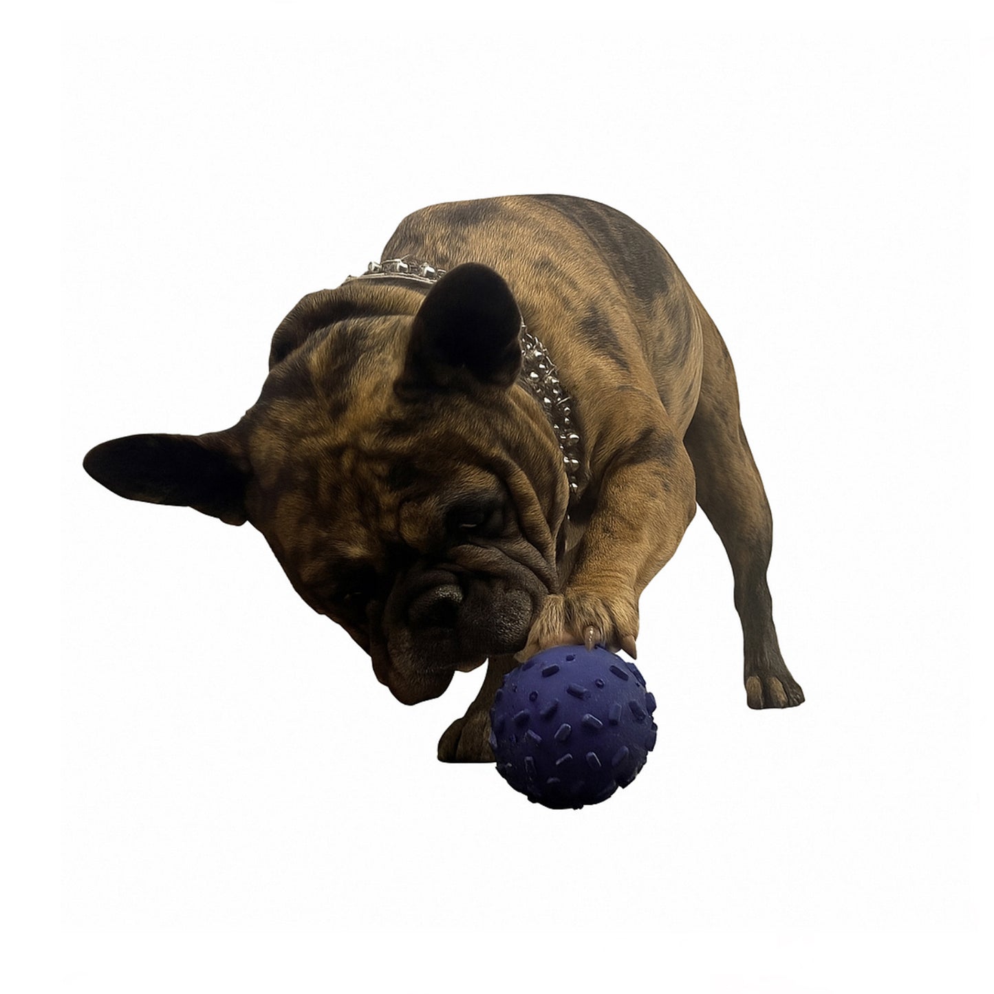 Challenging Treat-Dispensing Balls 4 Pack for Pigs Piglets Dogs Rabbits Cats and other Small Animals – Mental Stimulation and Playtime Fun