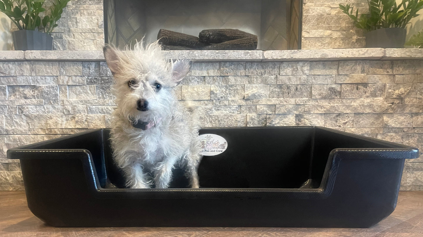 Piggy Poo and Crew Extra Large Litter Box - for Pigs Dogs Rabbits Goats or any animals big or small