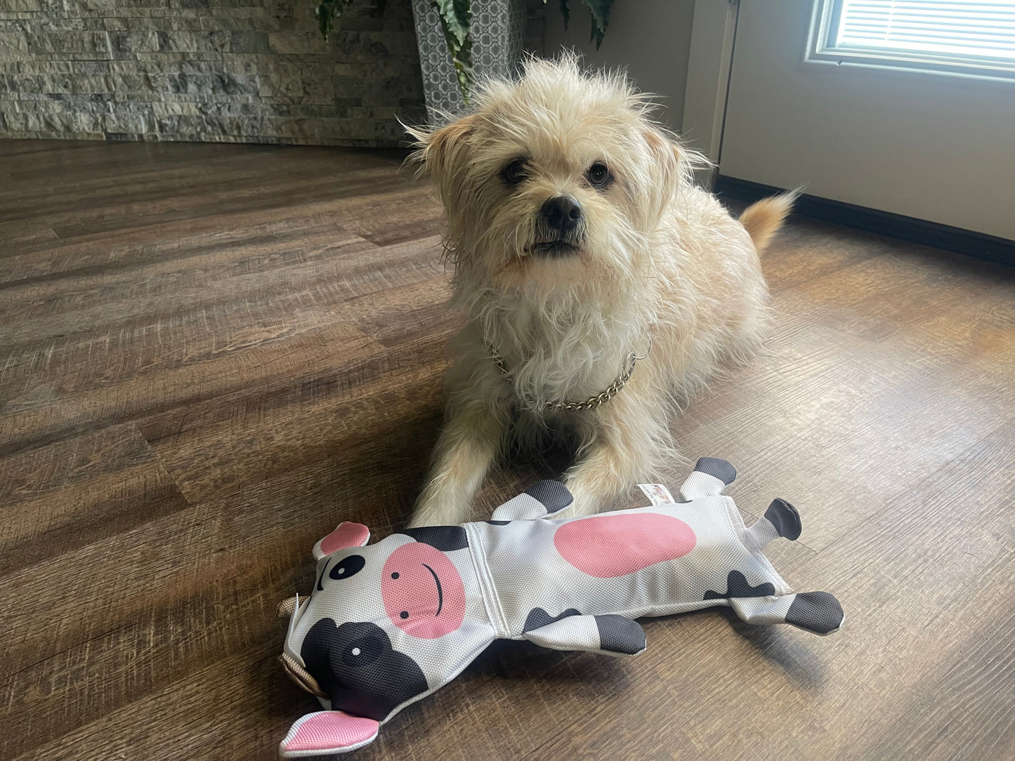 Cow Pig & Donkey 3 Pack Bite-Proof Squeaker Ruffhouse Pet Toys for Dogs Puppies and other Small Animals