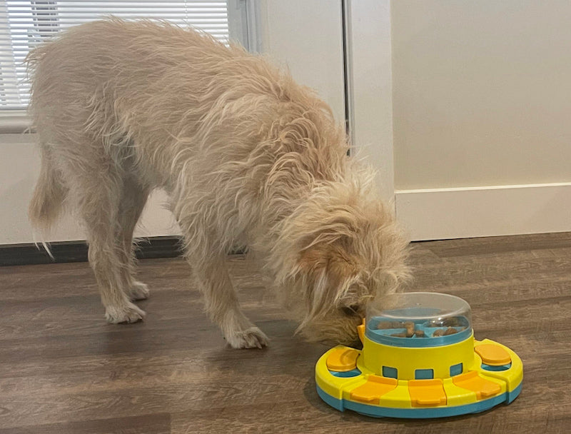 Piggy Poo and Crew Treat Popper Puzzle Game