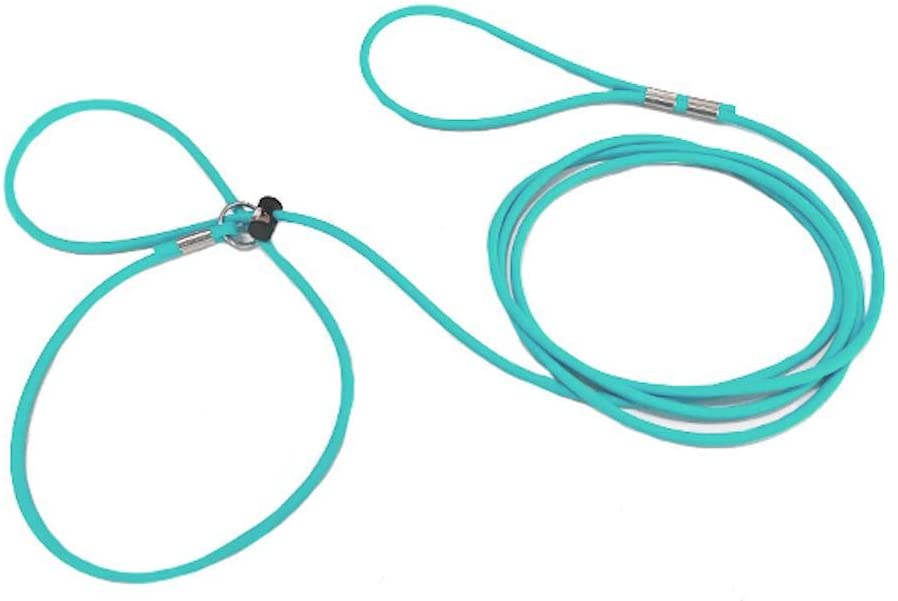 Piggy Poo and Crew 12-Foot Mini Pig Harness - Adjustable Harness & Leash for All Animals - Pigs, Ferrets, Rabbits, Guinea Pigs, Dogs, Cats, and Reptiles