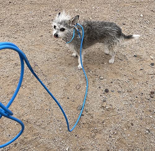Piggy Poo and Crew 12-Foot Mini Pig Harness - Adjustable Harness & Leash for All Animals - Pigs, Ferrets, Rabbits, Guinea Pigs, Dogs, Cats, and Reptiles