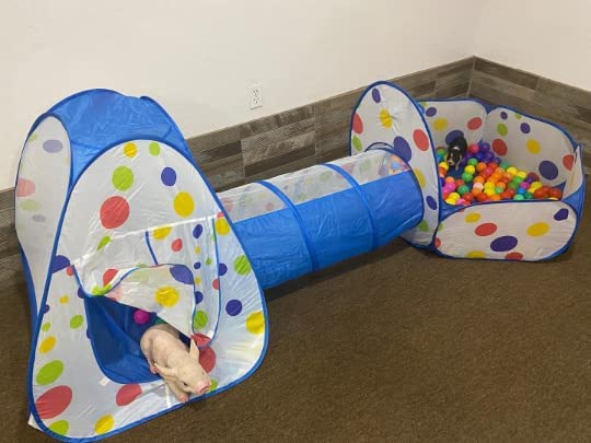 Interactive Pet Tunnel and Ball Pit | Fun Pet Playhouse | Includes 50 Balls | Collapsible Design | Indoor/Outdoor - for Dogs, Pigs, Rabbits, and Other Small Pets