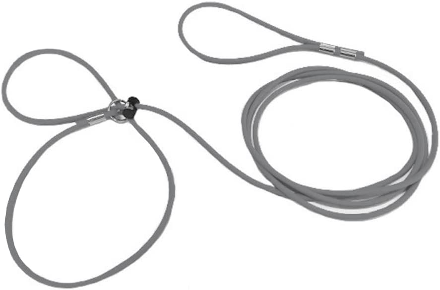 Piggy Poo and Crew 12-Foot Mini Pig Harness - Adjustable Harness & Leash for All Animals - Pigs, Ferrets, Rabbits, Guinea Pigs, Dogs, Cats, and Reptiles