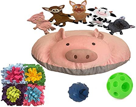 Piggy Poo and Crew New Pet Owner Pack