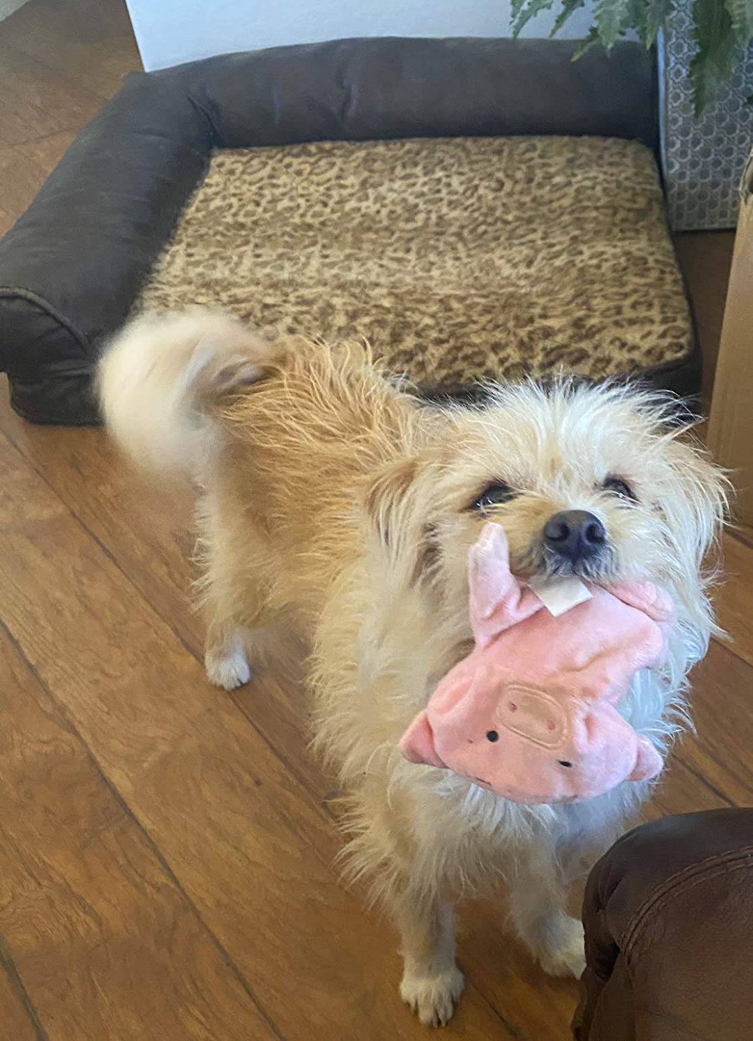 Piggy Poo and Crew Pig and Boar Crinkle Squeaker Toy Set