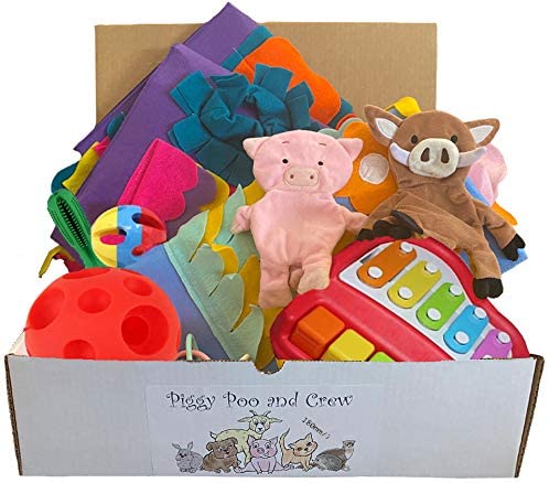 Piggy Poo and Crew Pig and Pet Box Bundle of Toys Gift Box