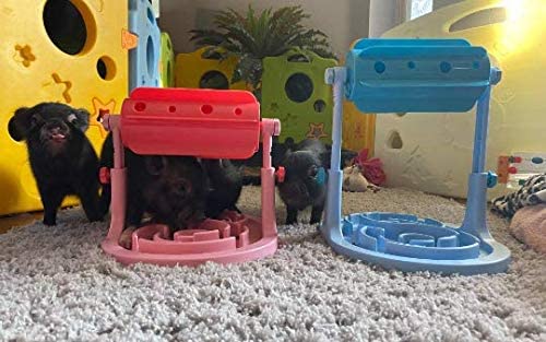 Piggy Poo and Crew Pet Training Toy Slow Roller Adjustable Feeder Game