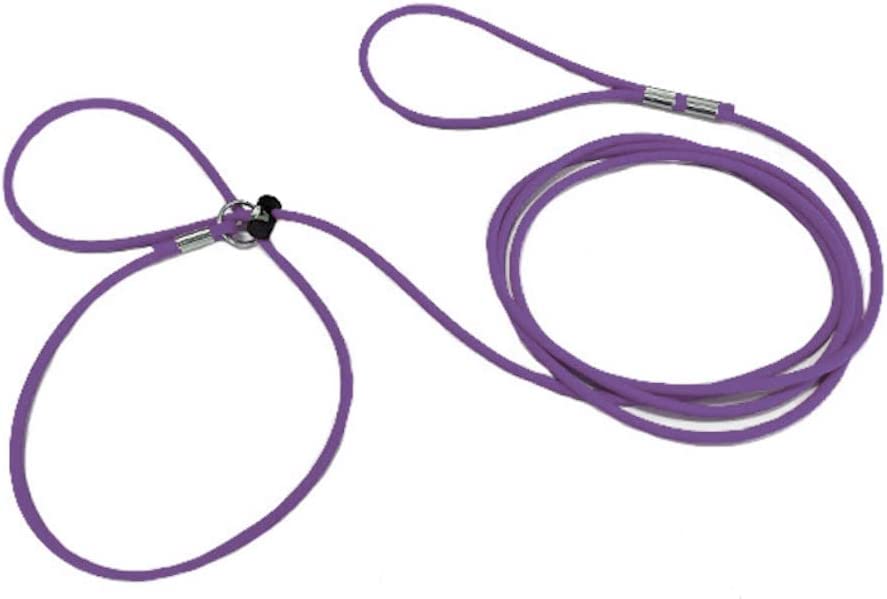 Piggy Poo and Crew 12-Foot Mini Pig Harness - Adjustable Harness & Leash for All Animals - Pigs, Ferrets, Rabbits, Guinea Pigs, Dogs, Cats, and Reptiles