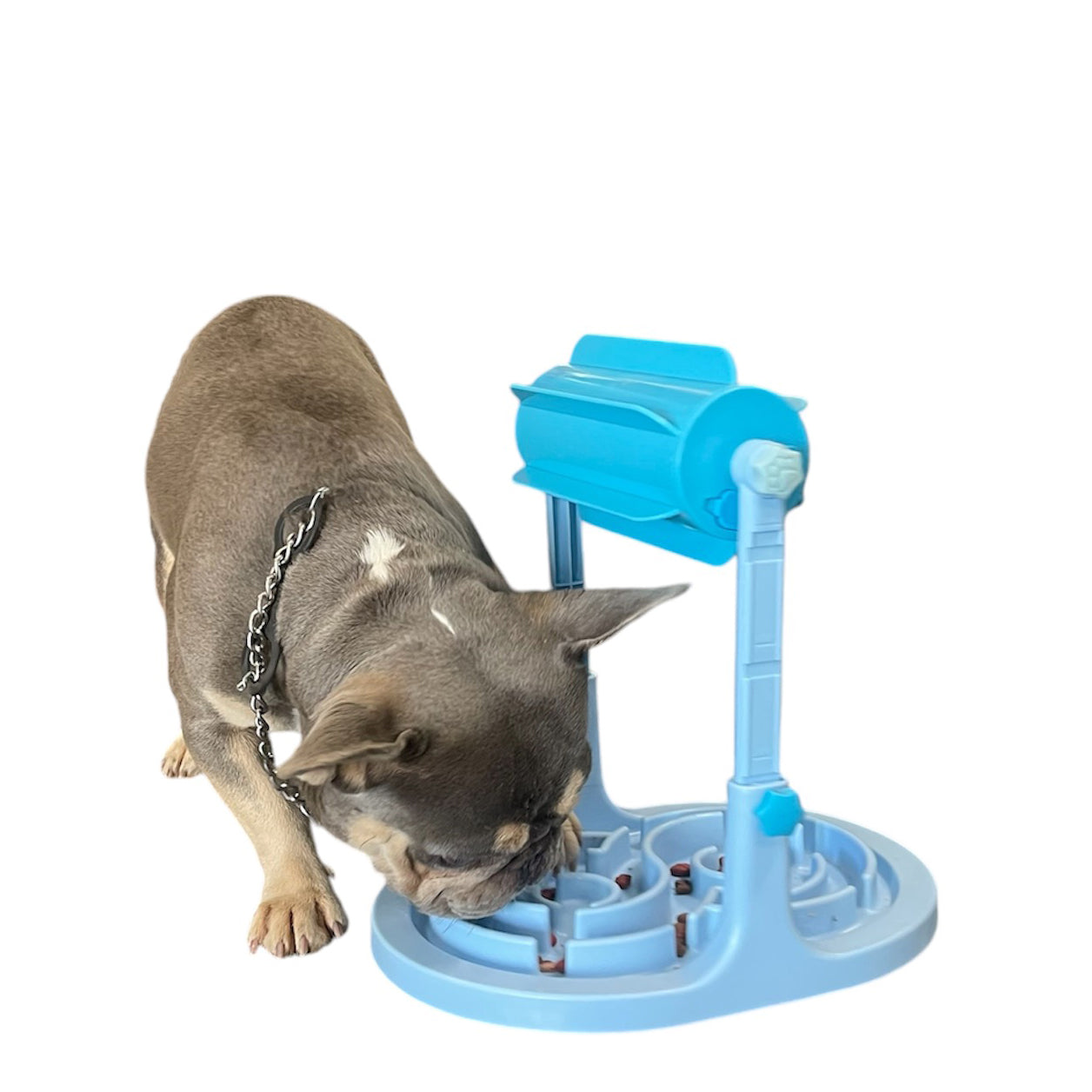 Multi-Pet Roller Slow Feeder Game for Dogs, Cats, Rabbits, Pigs & Small Animals