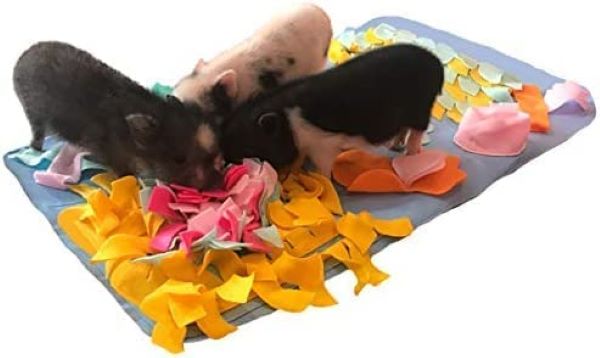 Snuffle Mat Bundle Pack of 10