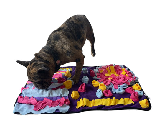 Piggy Poo and Crew Colorful Snuffle Rooting Activity Mat Heavy NonSkid Backing