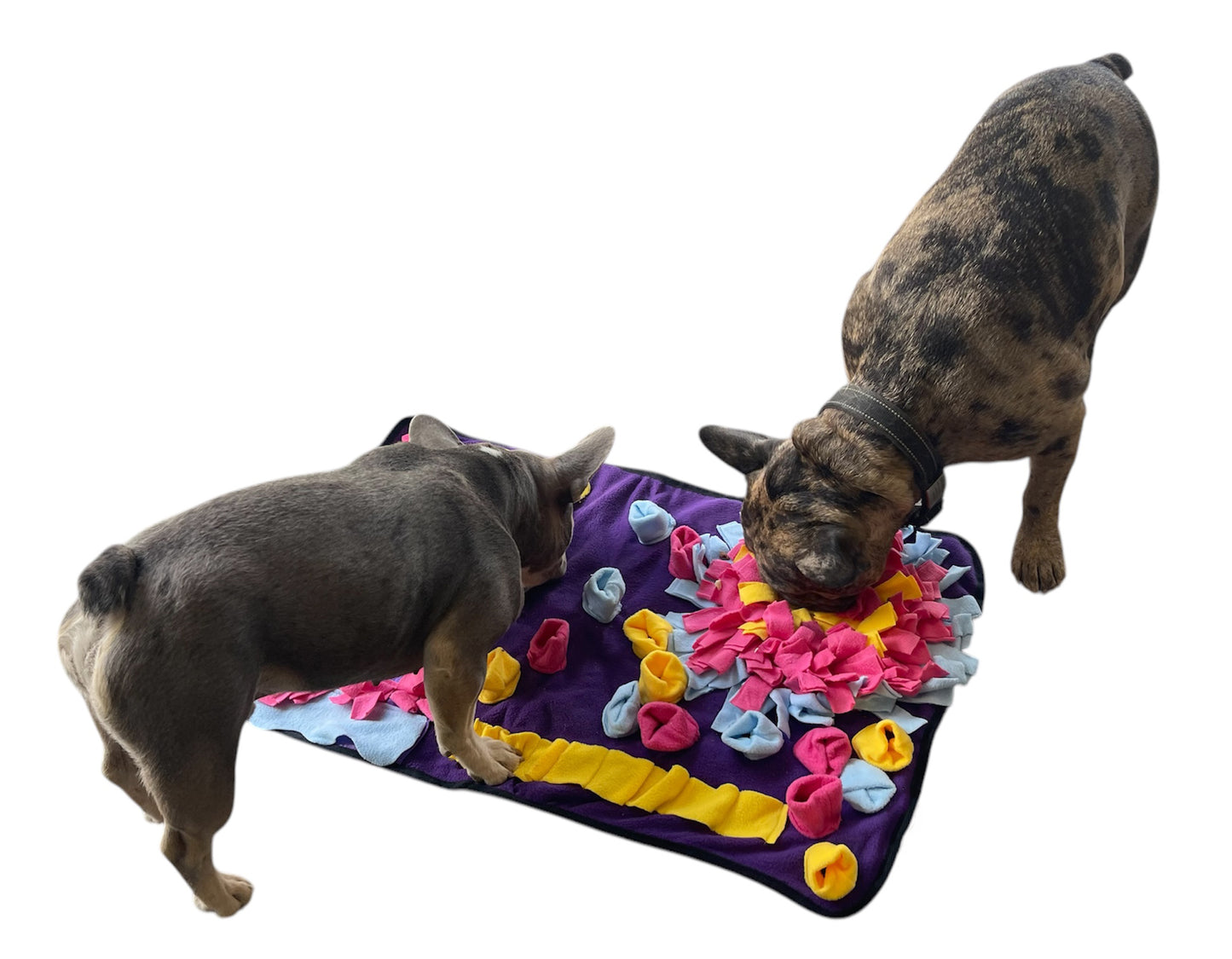Piggy Poo and Crew Colorful Snuffle Rooting Activity Mat Heavy NonSkid Backing