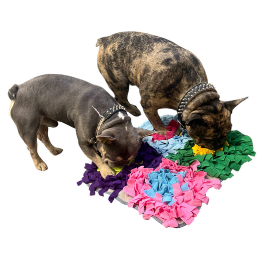 Piggy Poo and Crew Colorful Snuffle Play Mat  Non Skid Backing