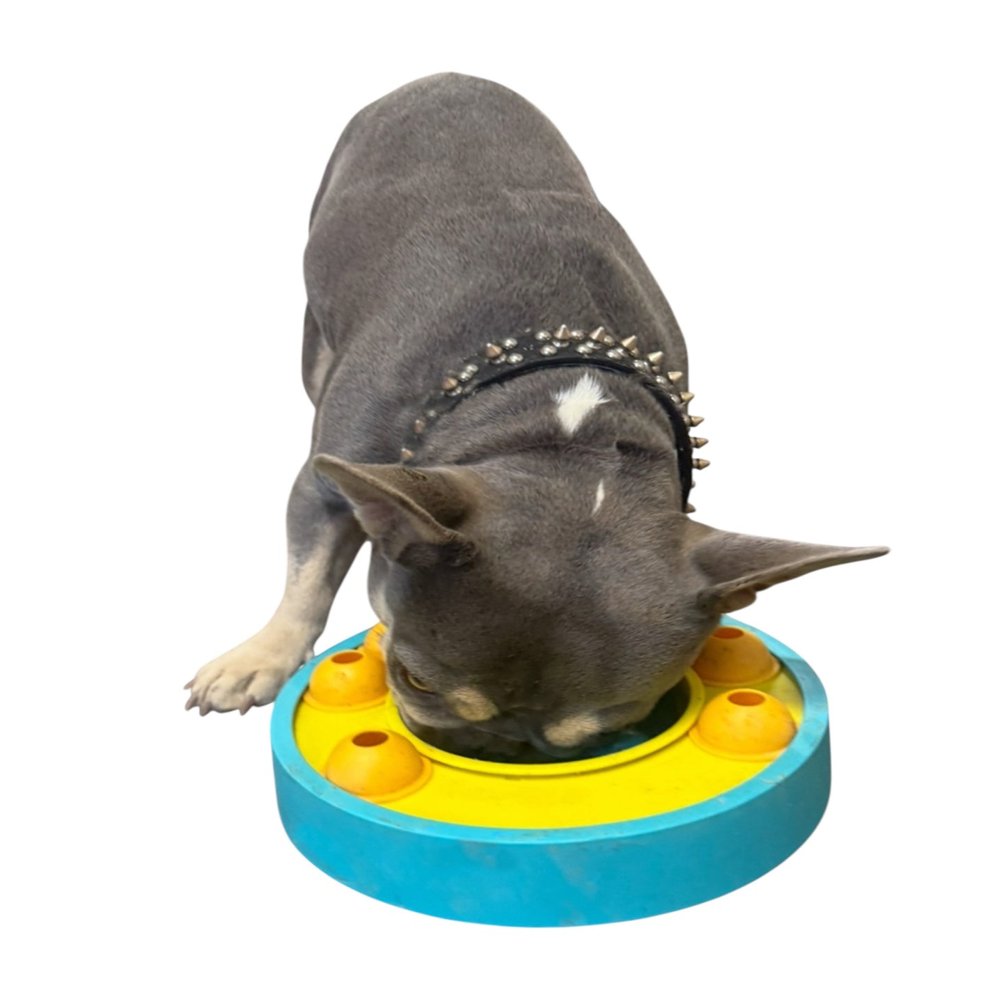 Piggy Poo and Crew Slow Feeder Puzzle Game