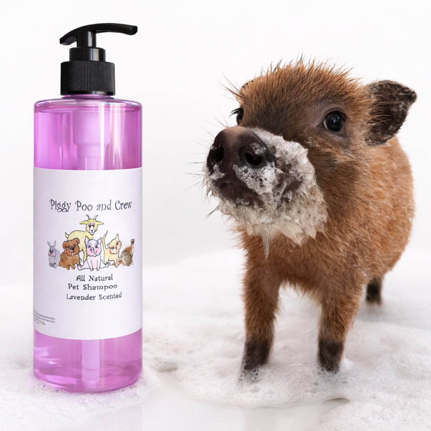 Piggy Poo and Crew Pet Shampoo and Shampoo Scrub Brush