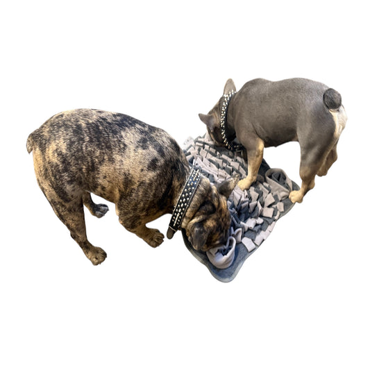 Piggy Poo and Crew Pet Snuffle Activity Mat