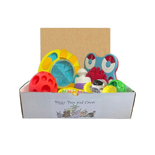 Piggy Poo and Crew Pet Game Box - Mini Pig Box - Dog Box - Gift Box