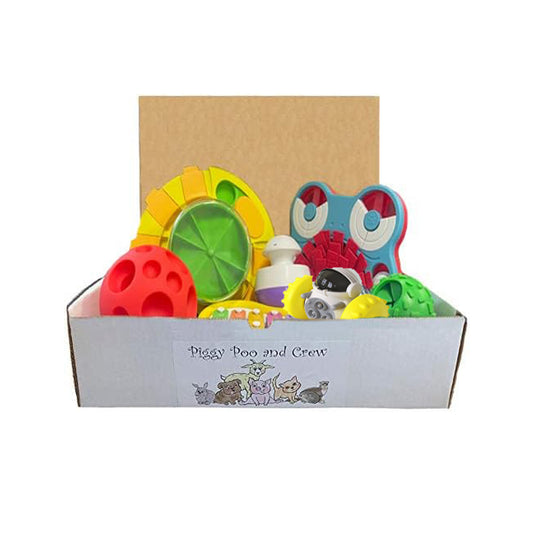 Piggy Poo and Crew Pet Game Box - Mini Pig Box - Dog Box - Gift Box