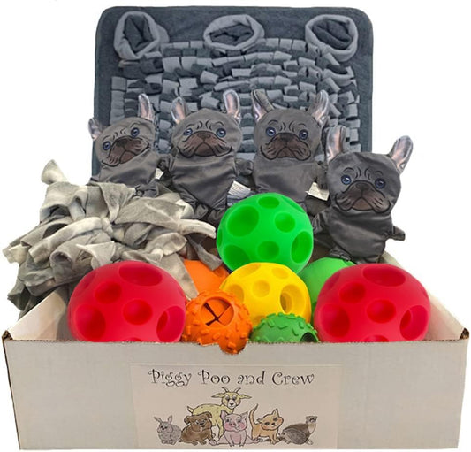 Piggy Poo and Crew Dog Box Bundle of Toys Gift Box - Pet Box - 14 Items