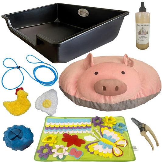 Pig Bundle Starter Pack - Includes All the Essentials