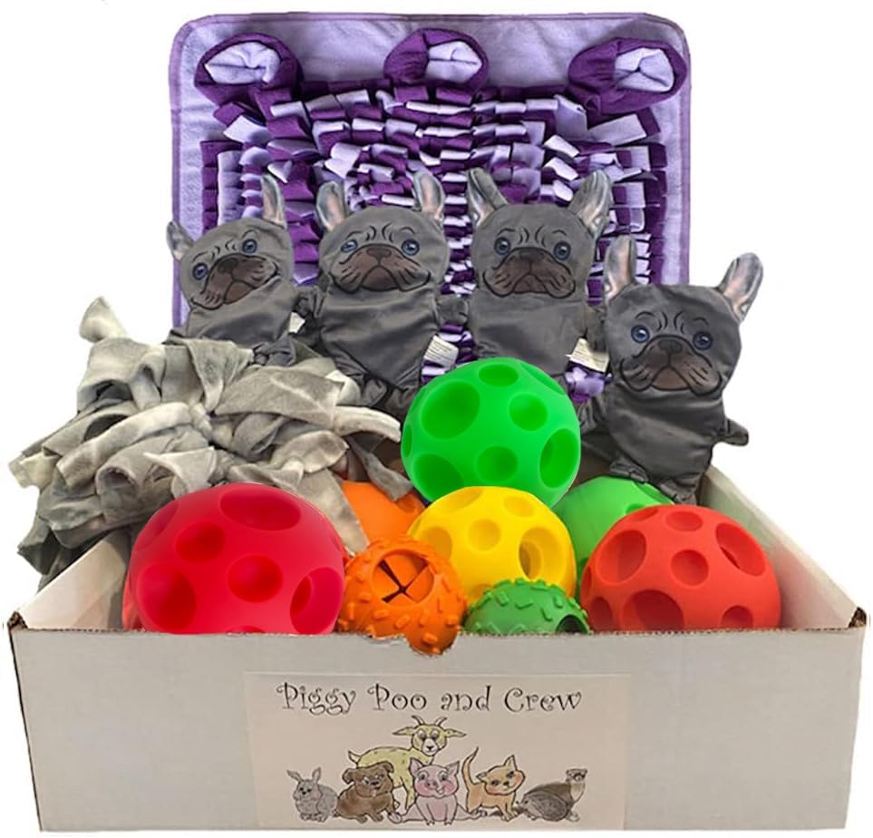 Piggy Poo and Crew Dog Box Bundle of Toys Gift Box - Pet Box - 14 Items