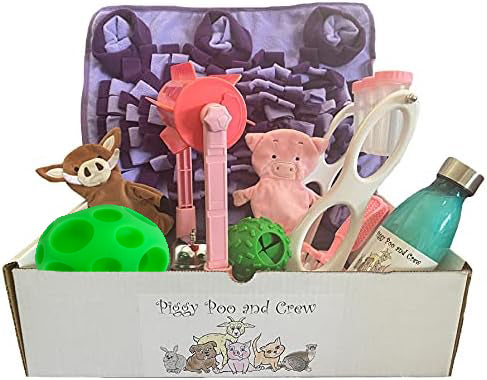 Piggy Poo and Crew Pig and Pet Box Bundle of Toys Gift Box New Pet Owner