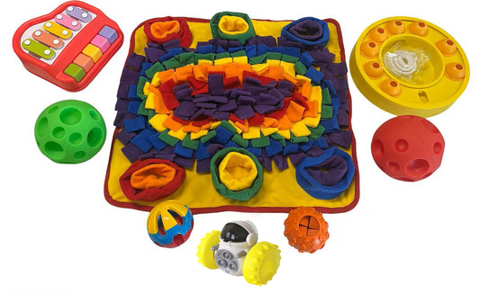 Piggy Poo and Crew Rabbit Box - Bunny Box - Pet Box Bundle of Toys - Gift Box