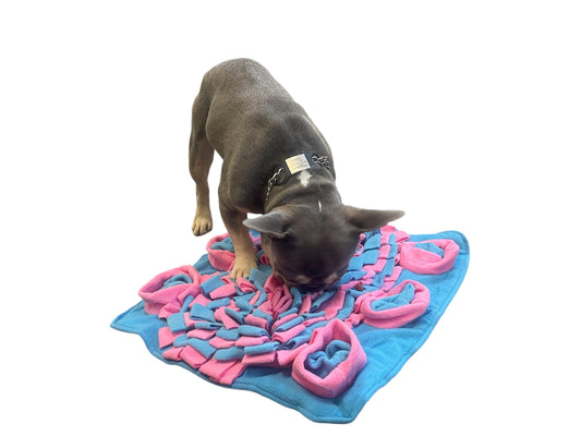 Piggy Poo and Crew Pet Snuffle Activity Mat Pink and Blue