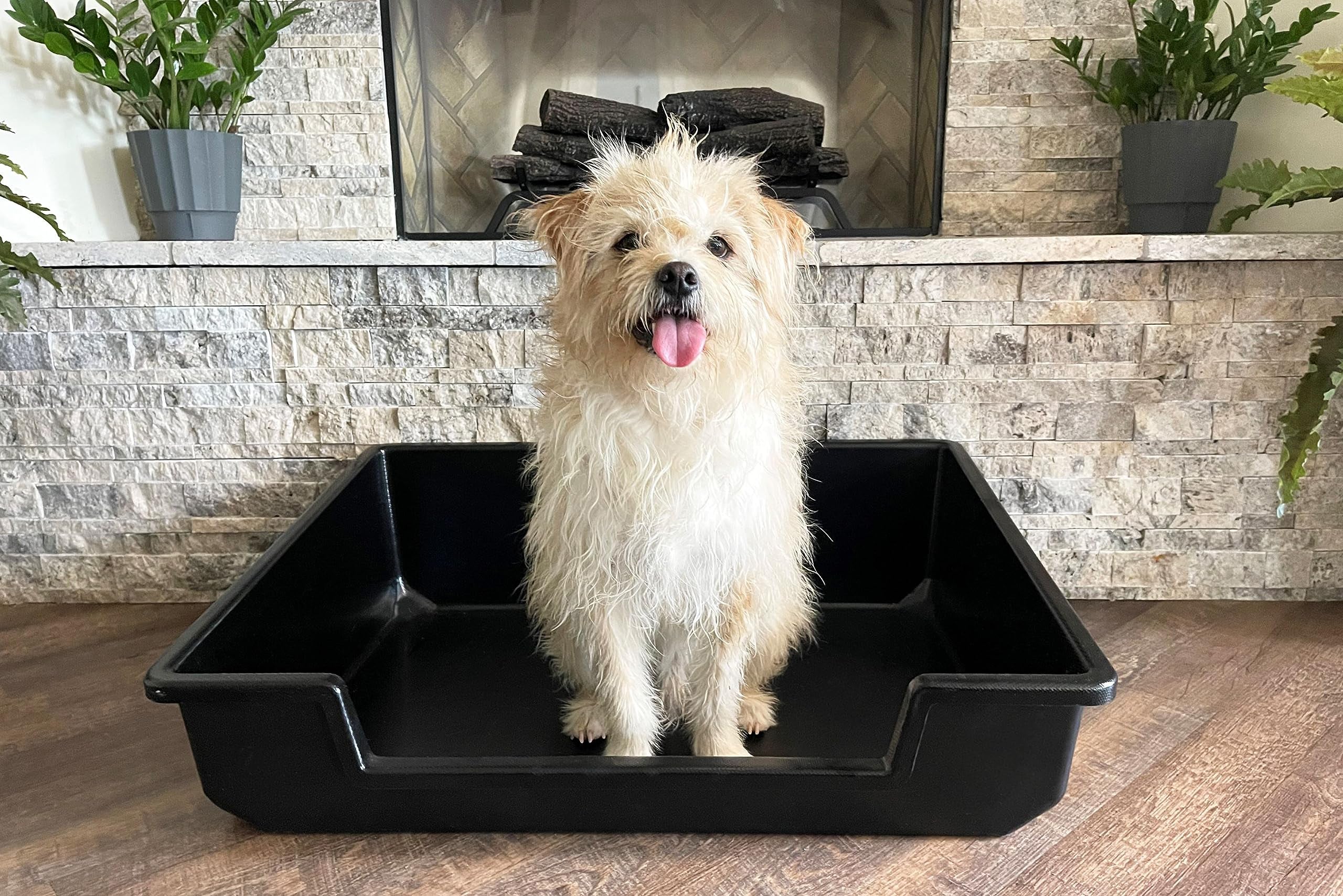 Extra large dog litter tray on sale
