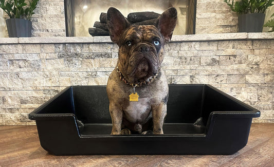 Piggy Poo and Crew Extra Large Litter Box - for Pigs Dogs Rabbits Goats or any animals big or small