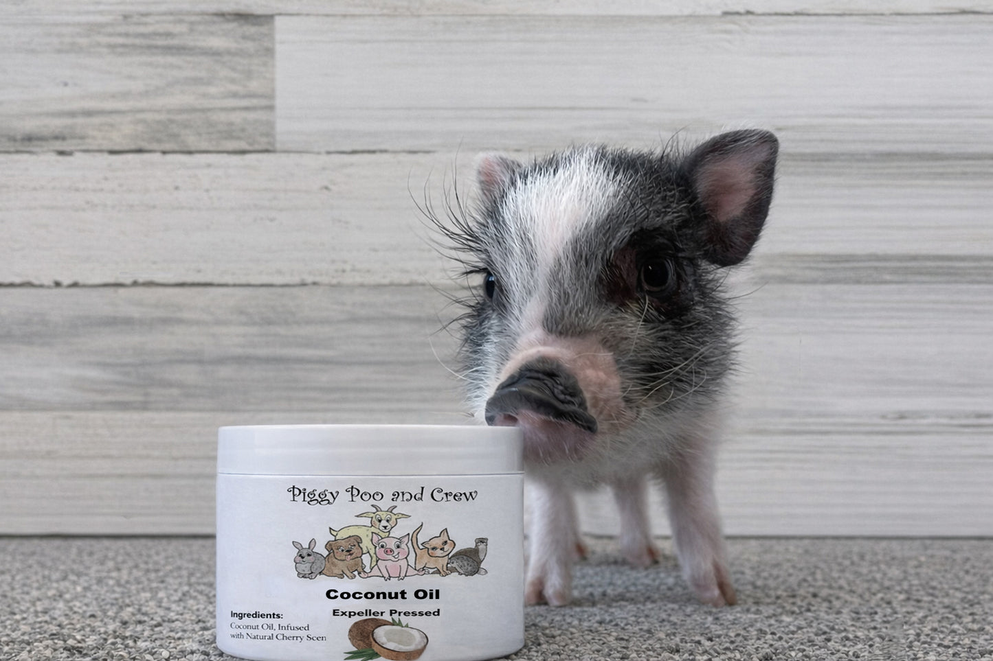 Piggy Poo and Crew Brightening Pet Shampoo and Coconut Oil Bundle, Oatmeal Cherry Scent, Gentle pH-Balanced, No Bleach, Peroxide or Alcohol for Pigs and Small Animals