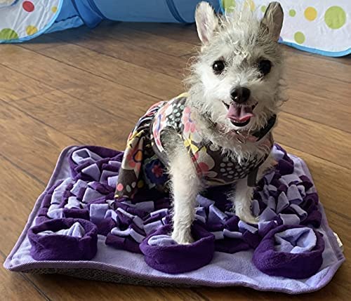 Puppy Bundle Starter Pack - Includes all The Essentials for Puppies and Dogs