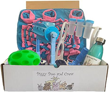 Piggy Poo and Crew Pig and Pet Box Bundle of Toys Gift Box New Pet Owner