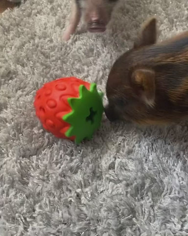 Strawberry-Shaped Dog Treat Dispensing Toy – Scented and Interactive Treat Game for Dogs, Pigs, and Other Pets