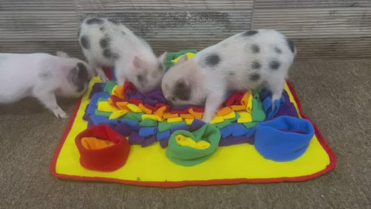 Snuffle Mat Bundle Pack of 10