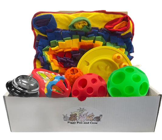 Piggy Poo and Crew Rabbit Box - Pet Box - Pig Box Bundle of Toys - Gift Box