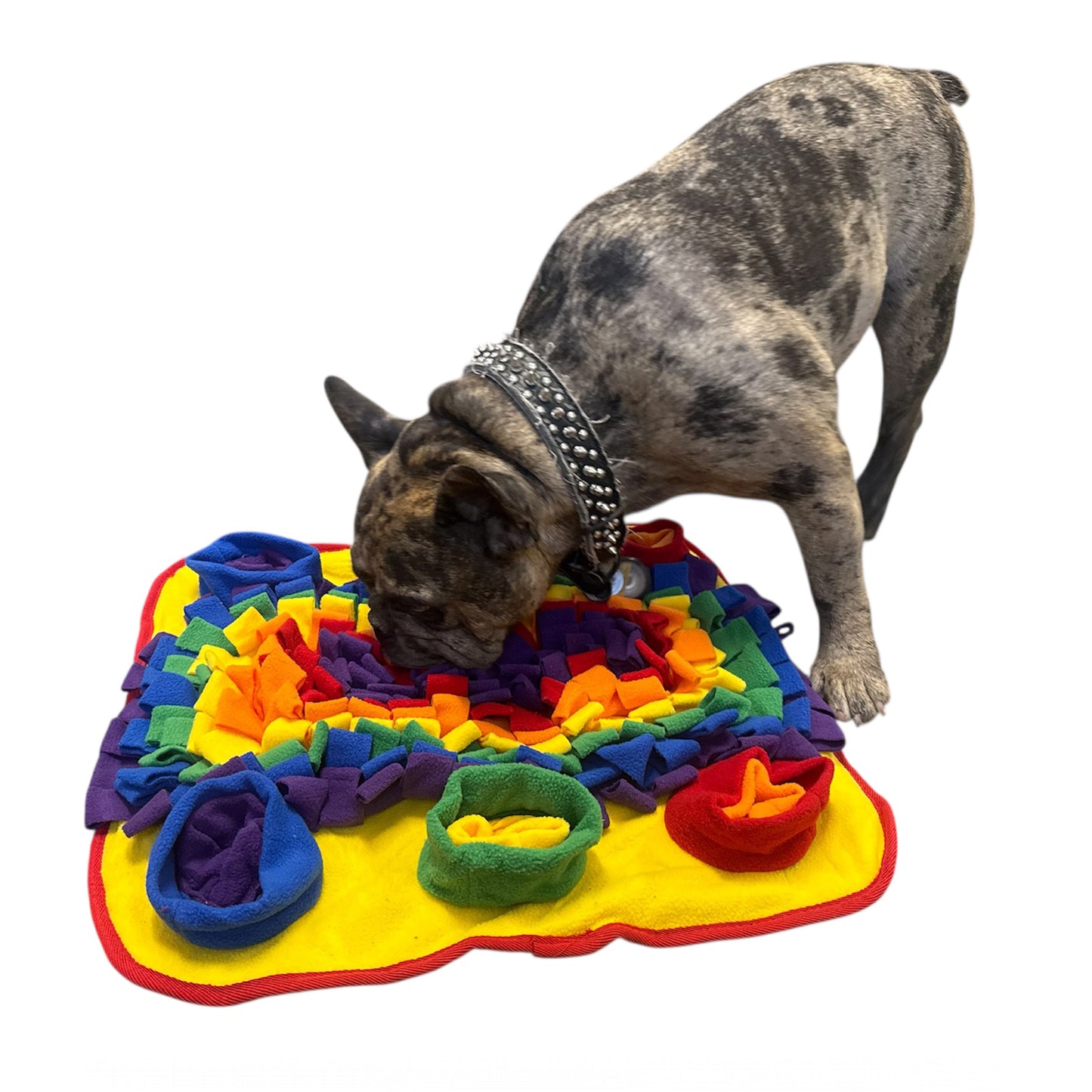 Piggy Poo and Crew Rainbow Pet Snuffle Mat