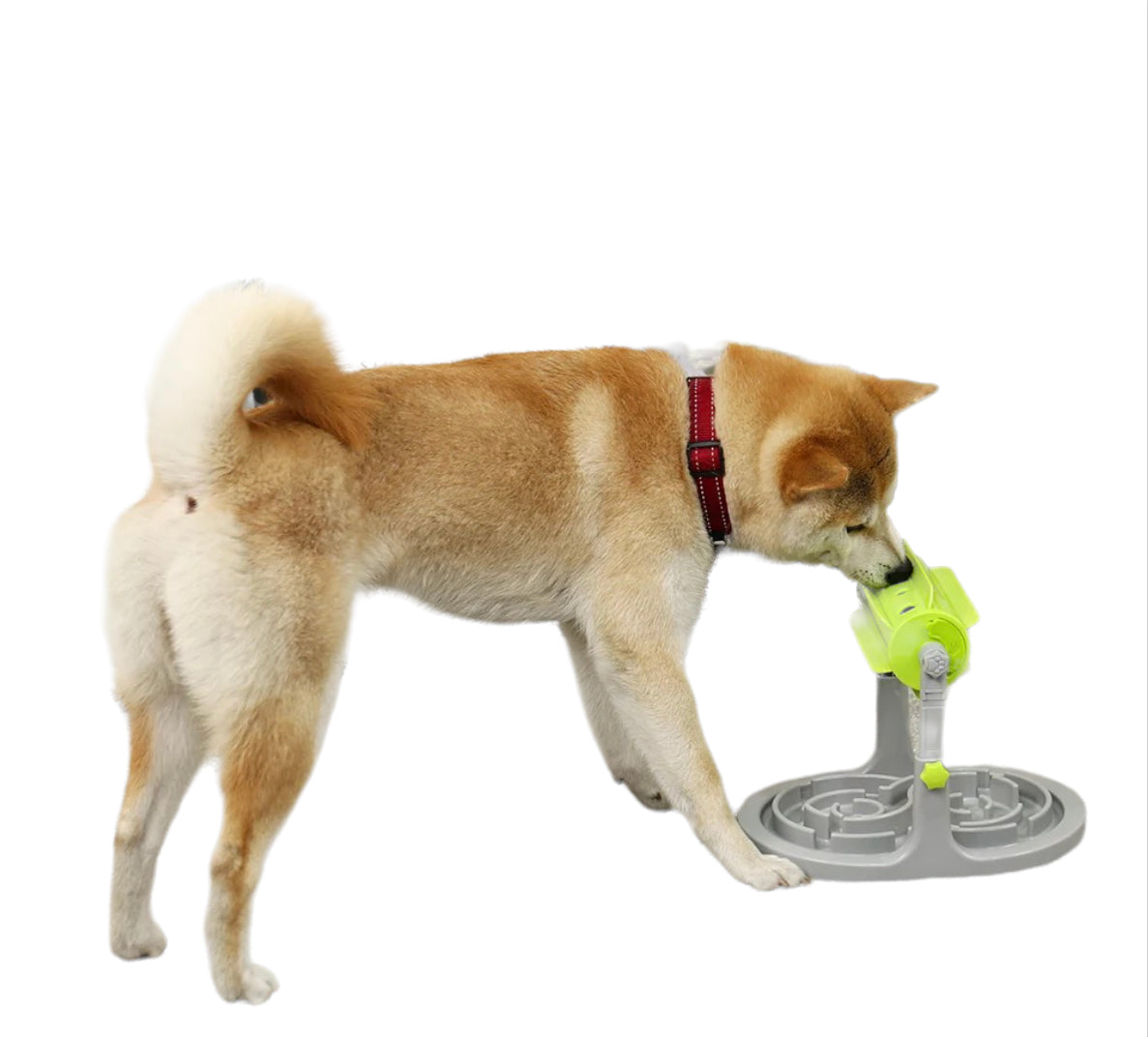Slow Feeder Dog Bowls Dog Puzzle Toys Adjustable Height
