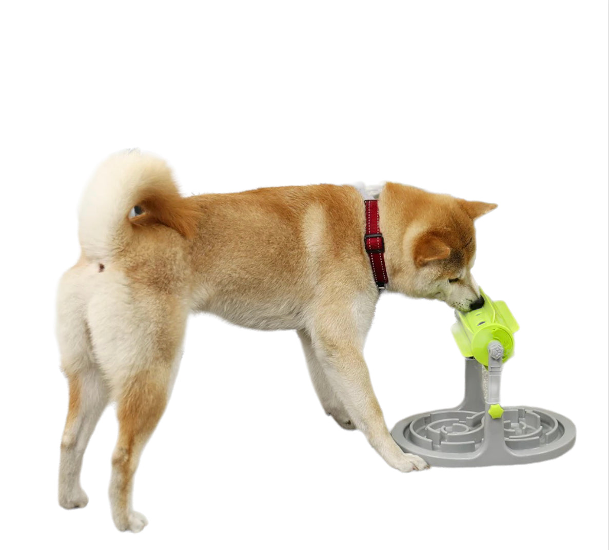 SpeedyPet Interactive Dog & Cat Slow Food Puzzle Feeder