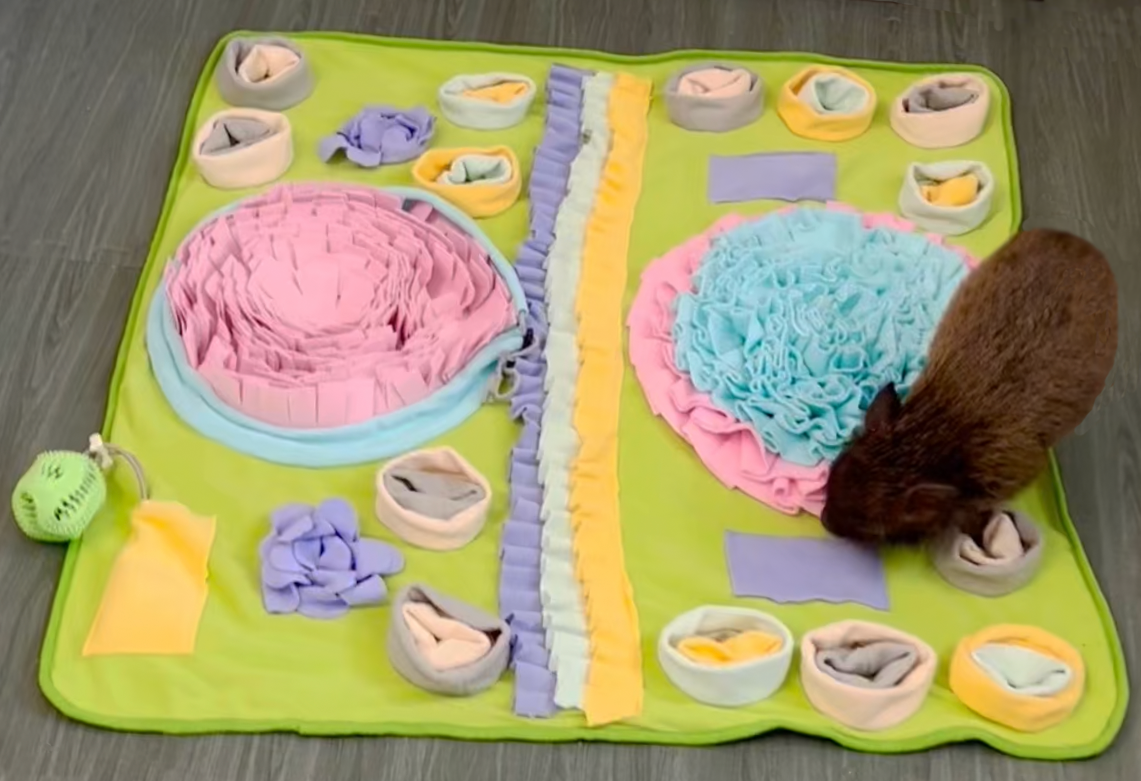 Piggy Poo and Crew Double Bowl Snuffle Mat with a Treat Ball and Squeakers
