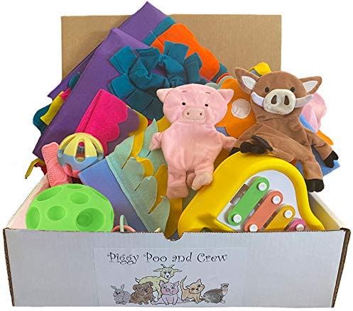 Piggy Poo and Crew Pig and Pet Box Bundle of Toys Gift Box