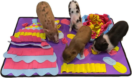 Piggy Poo and Crew Colorful Snuffle Rooting Activity Mat Heavy NonSkid Backing