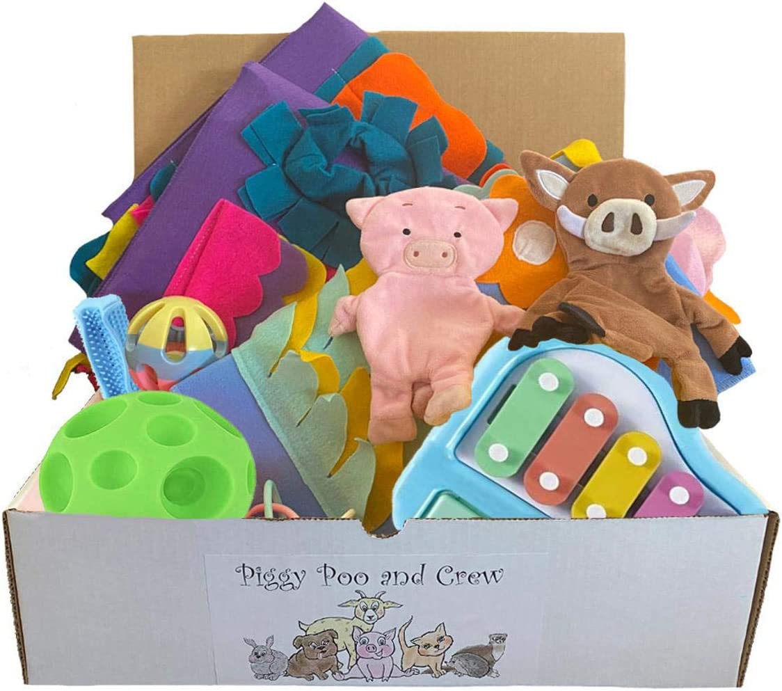 Piggy Poo and Crew Pig and Pet Box Bundle of Toys Gift Box