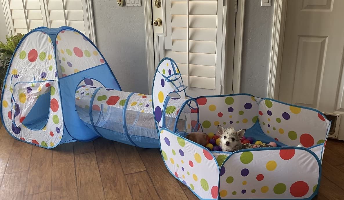 Piggy Poo and Crew Interactive Pet Tunnel and Ball Pit | Fun Pet Playhouse | Includes 50 Balls | Collapsible Design | Indoor/Outdoor - for Dogs, Pigs, Cats, Rabbits, and other Small Animals
