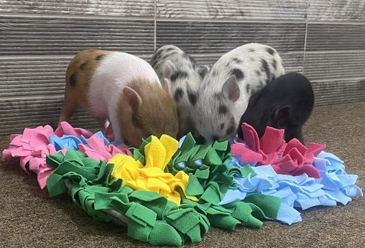 Piggy Poo and Crew Colorful Snuffle Play Mat  Non Skid Backing